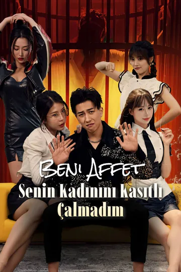 Beni Affet, Senin Kadınını Kasıtlı Çalmadım afişi