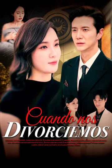 Póster de Cuando nos divorciemos