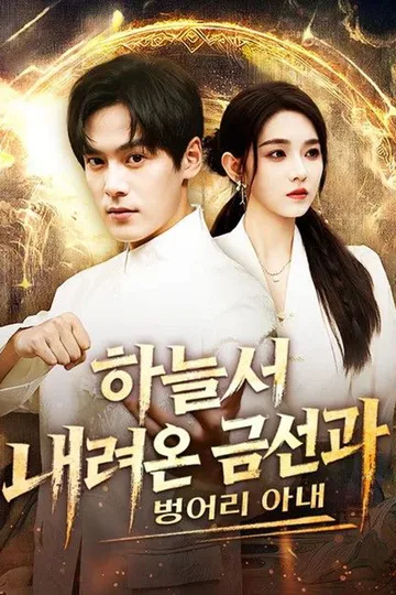 하늘서 내려온 금선과 벙어리 아내(더빙) 포스터