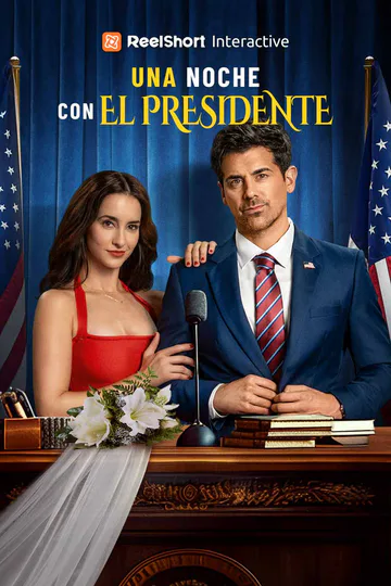 Póster de Una Noche con el Presidente