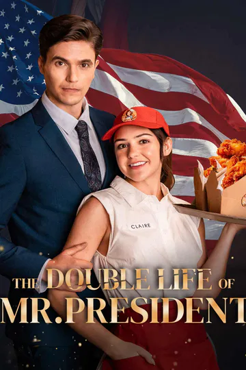 The Double Life of Mr President poster