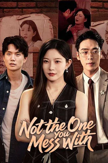 Not the One You Mess With poster
