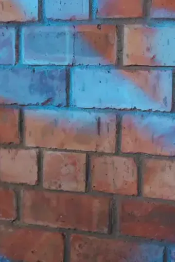 Gerçek varisin maskesi düşüyor afişi