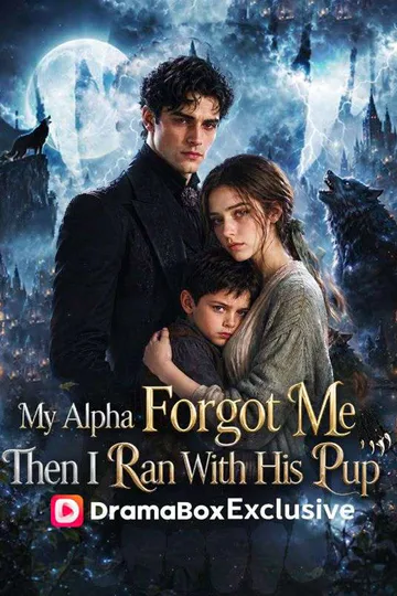 My Alpha Forgot Me; Then I Ran With His Pup poster