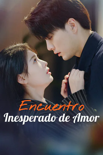 Póster de Encuentro Inesperado de Amor