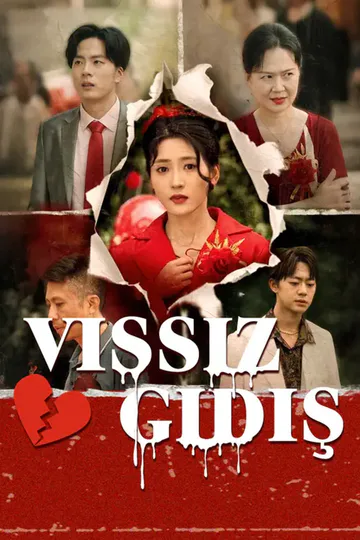 Vissiz Gidiş afişi