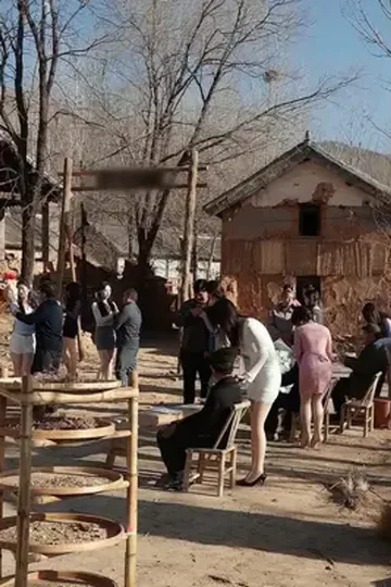 Salyangoz gelin afişi