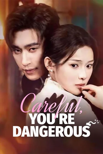 Careful, You're Dangerous poster
