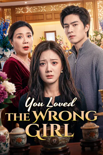 You Loved the Wrong Girl poster