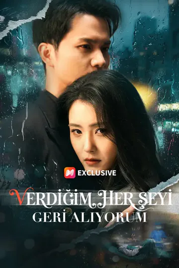 Verdiğim Her Şeyi Geri Alıyorum afişi