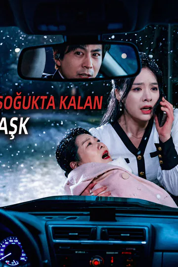 Soğukta Kalan Aşk afişi