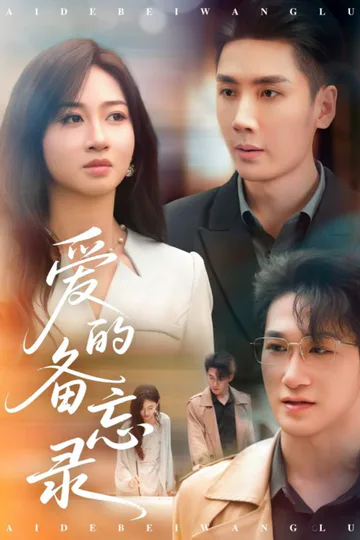 《爱的备忘录》海报