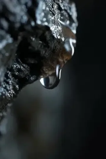 Madenci'nin Gizli Yeteneği afişi