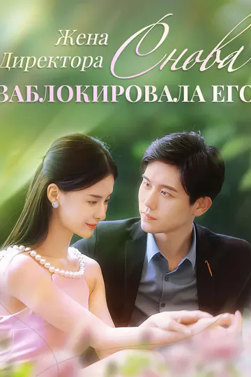 Постер сериала «Жена Директора Снова Заблокировала Его»