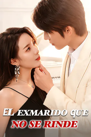 Póster de El exmarido que no se rinde