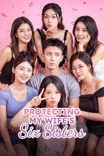 Protecting My Wife's Six Sisters poster