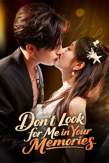 Don't Look for Me in Your Memories poster