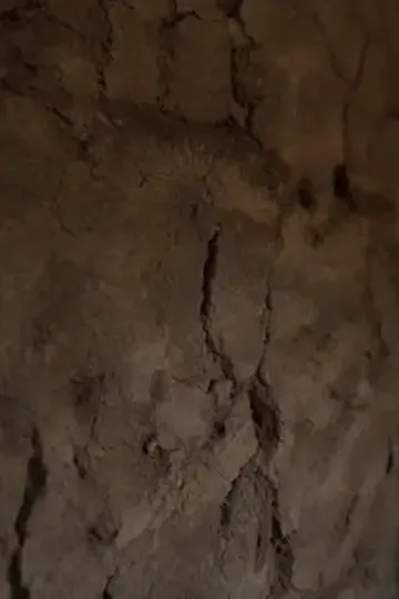 Kıtlıktaki zengin dul afişi