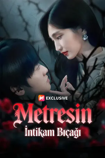 Metresin İntikam Bıçağı afişi
