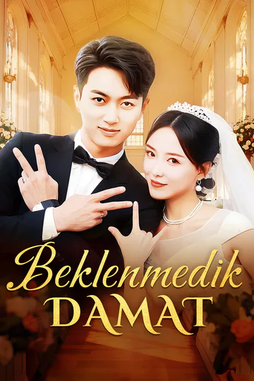 Beklenmedik Damat afişi