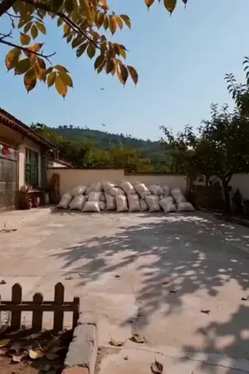 Köyün kurtarıcısı üniversiteli afişi