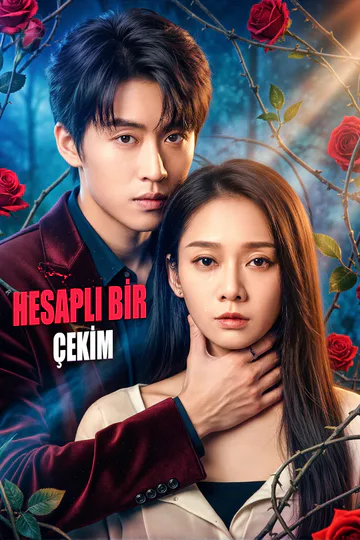 HESAPLI BİR ÇEKİM afişi