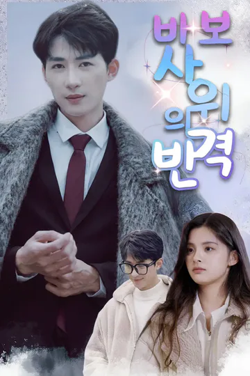 바보 사위의 반격 포스터