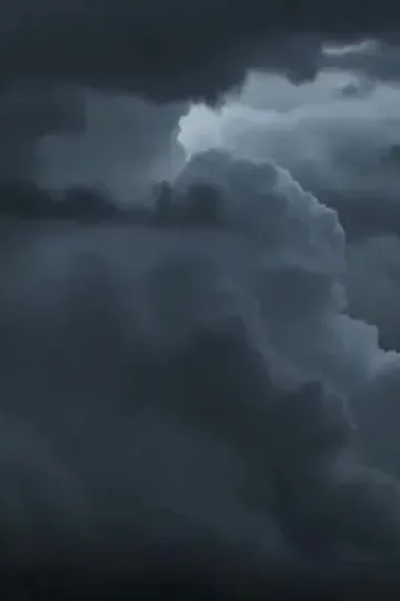 Havayolu başkanının yasak aşkı afişi