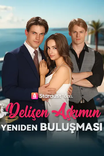 delişen aşkımın Yeniden buluşması afişi