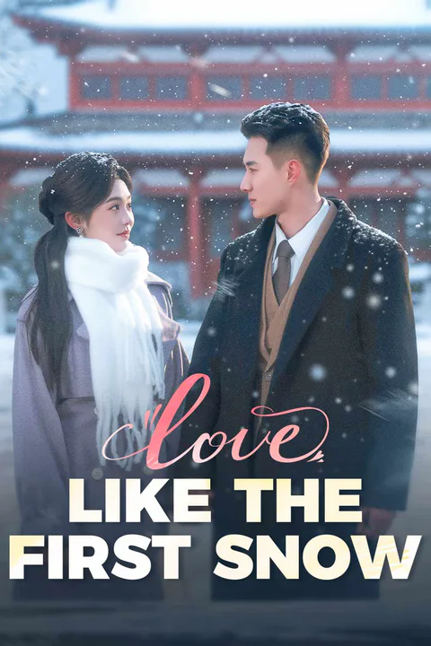 Love, Like the First Snow poster