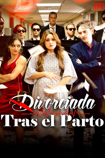 Póster de Divorciada tras el parto [Doblado]