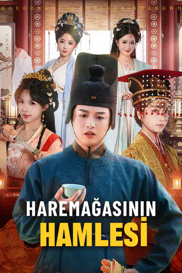 HAREMAĞASININ HAMLESİ afişi