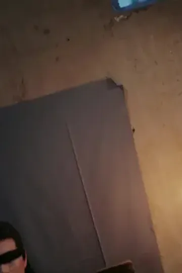 Küçük mucizenin gizemi afişi