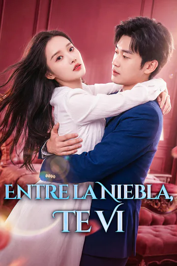 Póster de Entre la Niebla, Te Vi(Doblado)
