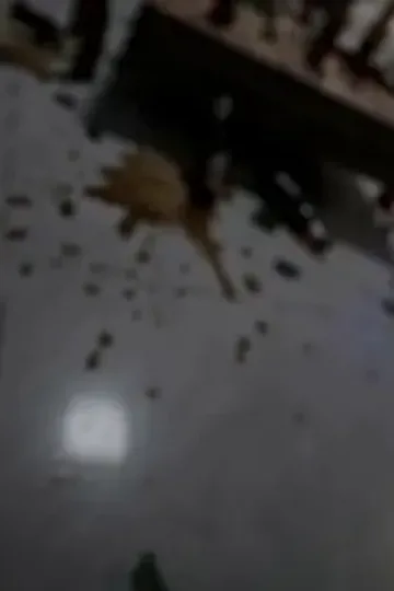 Kötü Kocanın Sevgi Kefareti afişi