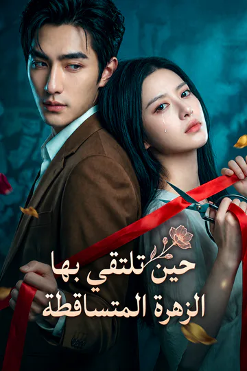 ملصق مسلسل «حين تلتقي بها الزهرة المتساقطة»