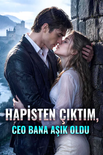 HAPİSTEN ÇIKTIM, CEO BANA AŞIK OLDU afişi