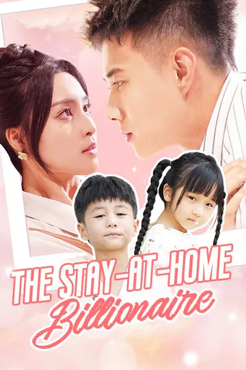 The Stay-at-Home Billionaire poster