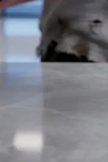 Sihirli gözle kader değiştirdi afişi