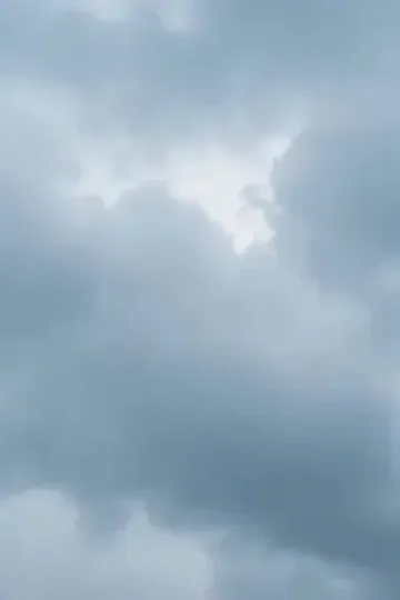 Antika uzmanının hazine avı afişi