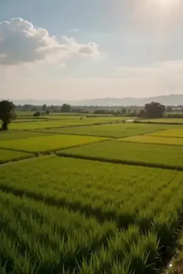 Tarım sistemi ile ters dönüş afişi