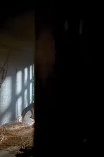 Modern saray hekimi afişi