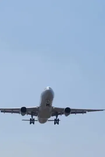 Varise dönen mirasçı afişi