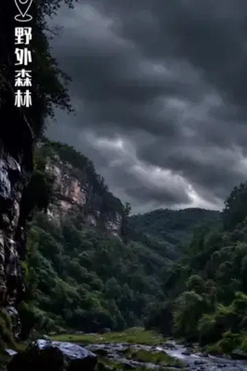 Yanlışlıkla Bay Lu ile Evlendim afişi