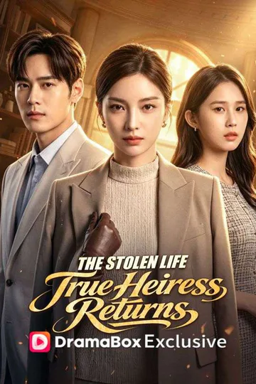 The Stolen Life:True Heiress Returns poster