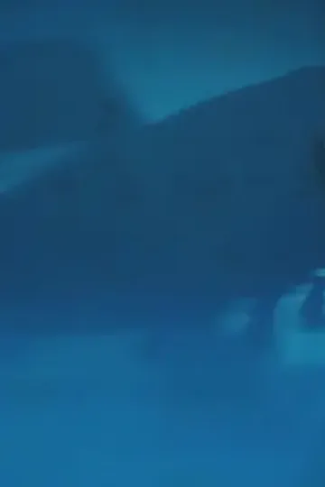 Kuryenin servet görüşü afişi