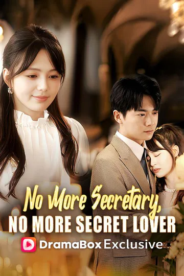 No More Secretary, No More Secret Lover（DUBBED） poster
