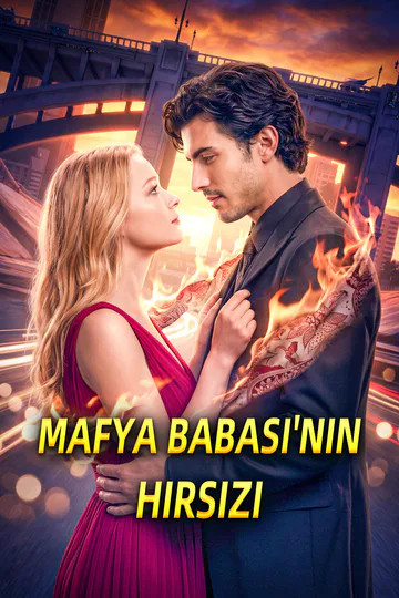 MAFYA BABASI'NIN HIRSIZI afişi