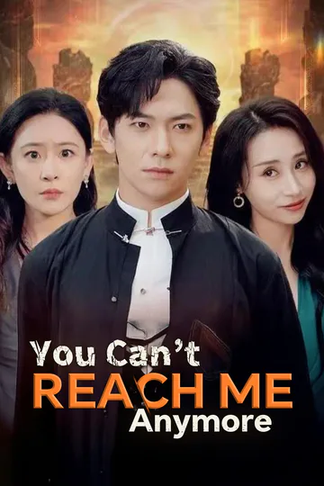 You Can’t Reach Me Anymore poster