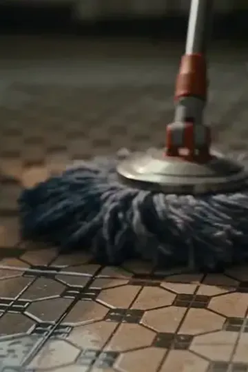 Evden kovulan çeviri kraliçesi afişi
